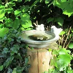 Familiennest Vogelwuid *