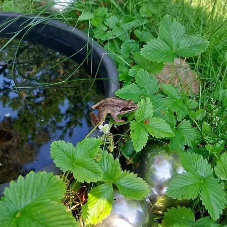 Apartament Familiennest Vogelwuid Seeon-Seebruck
