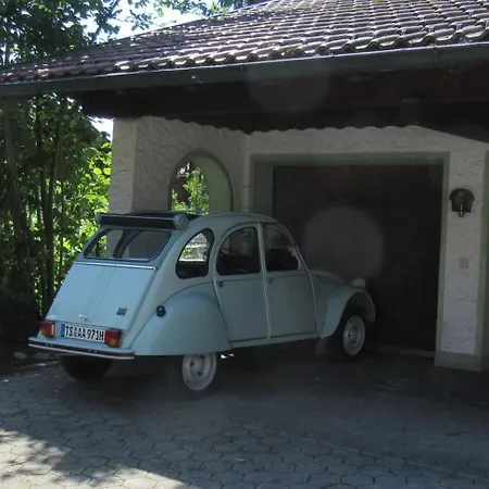 Familiennest Vogelwuid