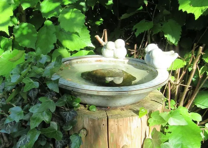 Familiennest Vogelwuid *