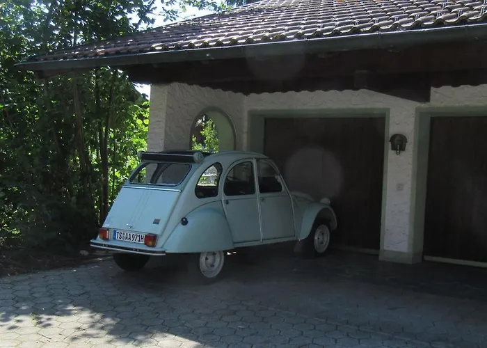 Familiennest Vogelwuid