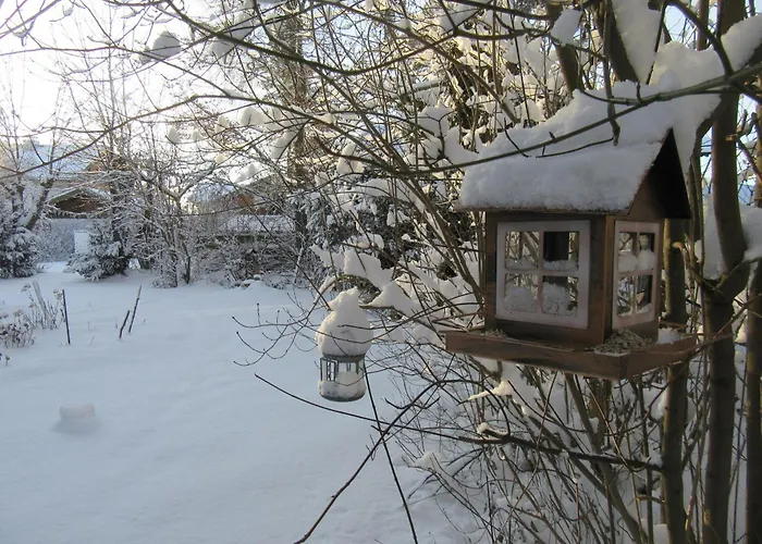 Familiennest Vogelwuid Apartment Seeon-Seebruck